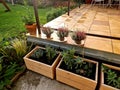 wooden flower pots in front of the entrance with heather in the fall on the sidewalk