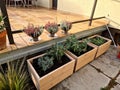 wooden flower pots in front of the entrance with heather in the fall on the sidewalk