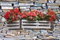 Wooden flowers boxes against an old stone wall - Home sweet home written on wooden box