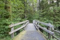 Wooden Foot Bridge Along Hiking Trail Royalty Free Stock Photo