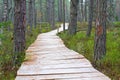 Wooden foot bridge