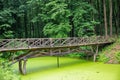 Wooden foot bridge over pond in Halych Ethnography museum, Ukraine Royalty Free Stock Photo