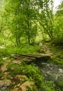 Wooden footbridge