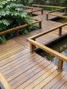 Wooden footbridge