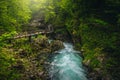 Wooden footbridge above the Radovna river in the Vintgar gorge