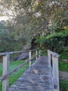 Wooden footbridge across a gully to the Lawry Plunkett Reserve at Balmoral Beach Royalty Free Stock Photo