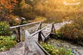 Wooden footbridge across stream in the mountain forest, High Tatras. Royalty Free Stock Photo