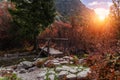 Wooden footbridge across stream in the mountain forest, High Tatras. Royalty Free Stock Photo