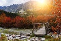 Wooden footbridge across stream in the mountain forest, High Tatras. Royalty Free Stock Photo