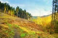 Wooden footbridge in Bezrucovo udoli valley Royalty Free Stock Photo