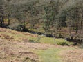 Wooden footbridge at the bottom of a valley of trees across a fast flowing stream cascading over rocks, Dartmoor