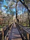 Footbridge at at Ichetucknee Springs State Park