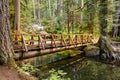 Wooden footbridge crossing a stream at Deception Falls