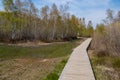 Wooden footbridge in the Drover Heide nature reserve