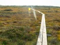 Wooden footbridge, evening sunlight