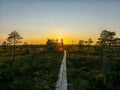 Wooden footbridge, evening sunlight,