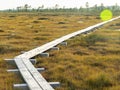 Wooden footbridge, evening sunlight