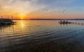 Wooden footbridge and flying swans during sunrise at Powidzkie lake in Poland Royalty Free Stock Photo