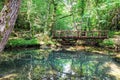 Wooden footbridge in forest at .Strandzha nature park in Bulgaria Royalty Free Stock Photo