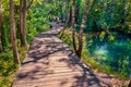 Wooden footbridge among green forest in Krka National Park, Lozovac village location, Croatia, Europe. Sunny morning scene of pure