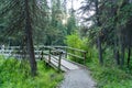 Wooden footbridge in green pine trees forest. Fenland Trail in summer sunny day. Banff National Park.