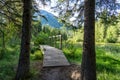 Wooden footbridge in green pine trees forest. Fenland Trail in summer sunny day. Banff National Park.