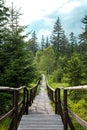 Wooden footbridge with handrails