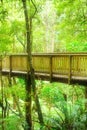 Wooden footbridge leading through magic forest on a summer day.