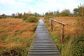 Wooden footbridge in the moor landscape in the High Fens near Eupen Royalty Free Stock Photo