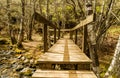 Wooden footbridge next to Teixedelo stream in El Tejedelo forest, Teixedelo, in Requejo de Sanabria in spring, Sanabria area, Zamo