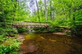 Wooden footbridge over Kitchen Creek, at Ricketts Glen State Park, Pennsylvania Royalty Free Stock Photo