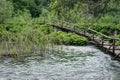 Wooden Footbridge Over Pond in Green Summer Forest Royalty Free Stock Photo