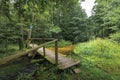 Wooden footbridge over small, calm, stream. Amazing, clean water and sandy bottom of the river. Green forest and wild overgrown Royalty Free Stock Photo