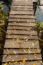 Wooden footbridge over a stream or on the bank of a pond. Fallen autumn leaves on a sunny day