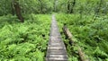 Wooden footbridge in the park near Wlodawa