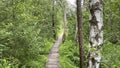 Wooden footbridge in the park near Wlodawa