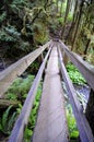 Wooden footbridge in a park Royalty Free Stock Photo