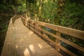 Wooden footbridge in Stanislaus fountain park