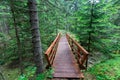 Wooden footbridge on trail in nature park for trekking Royalty Free Stock Photo