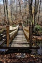 Wooden Footbridge on a Trail in the Pocono Mountains