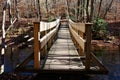 Wooden Footbridge on a Trail in the Pocono Mountains