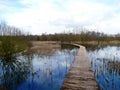 Wooden footpath through bioreserve Royalty Free Stock Photo