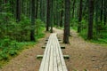 wooden footpath boardwalk in the bog swamp area