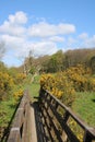 Wooden footpath bridge gorse bushes countryside Royalty Free Stock Photo