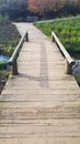 Wooden footpath bridge over stream. Royalty Free Stock Photo
