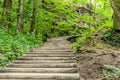 Wooden Footpath through the Deep Forest in Plitvice Lakes National Park, Croatia. Beautiful Green Natural Environment in Europe Royalty Free Stock Photo