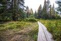 Wooden footpath in the marshy surroundings of Little Crater Lake in Oregon