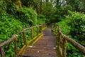 Wooden footpath nature trail at Doi Inthanon