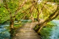 Wooden footpath over river in forest of Krka National Park, Croatia. Beautiful scene with trees, water and sunrays. Royalty Free Stock Photo