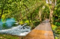 Wooden footpath over river in forest of Krka National Park, Croatia. Beautiful scene with trees, water and sunrays.